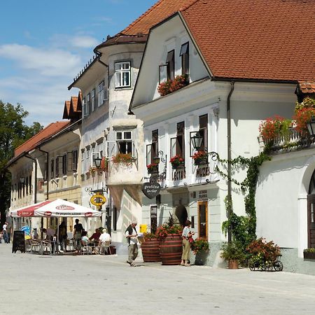 Hotel Pension Lectar Radovljica Zewnętrze zdjęcie