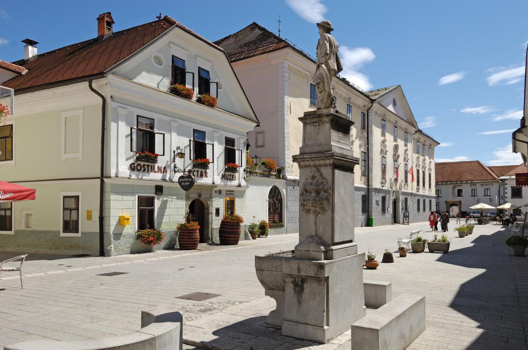 Hotel Pension Lectar Radovljica Zewnętrze zdjęcie