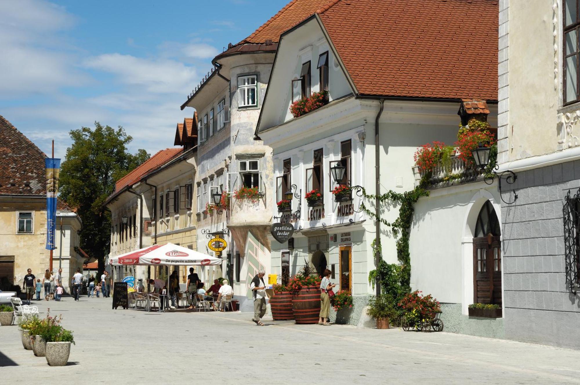 Hotel Pension Lectar Radovljica Zewnętrze zdjęcie